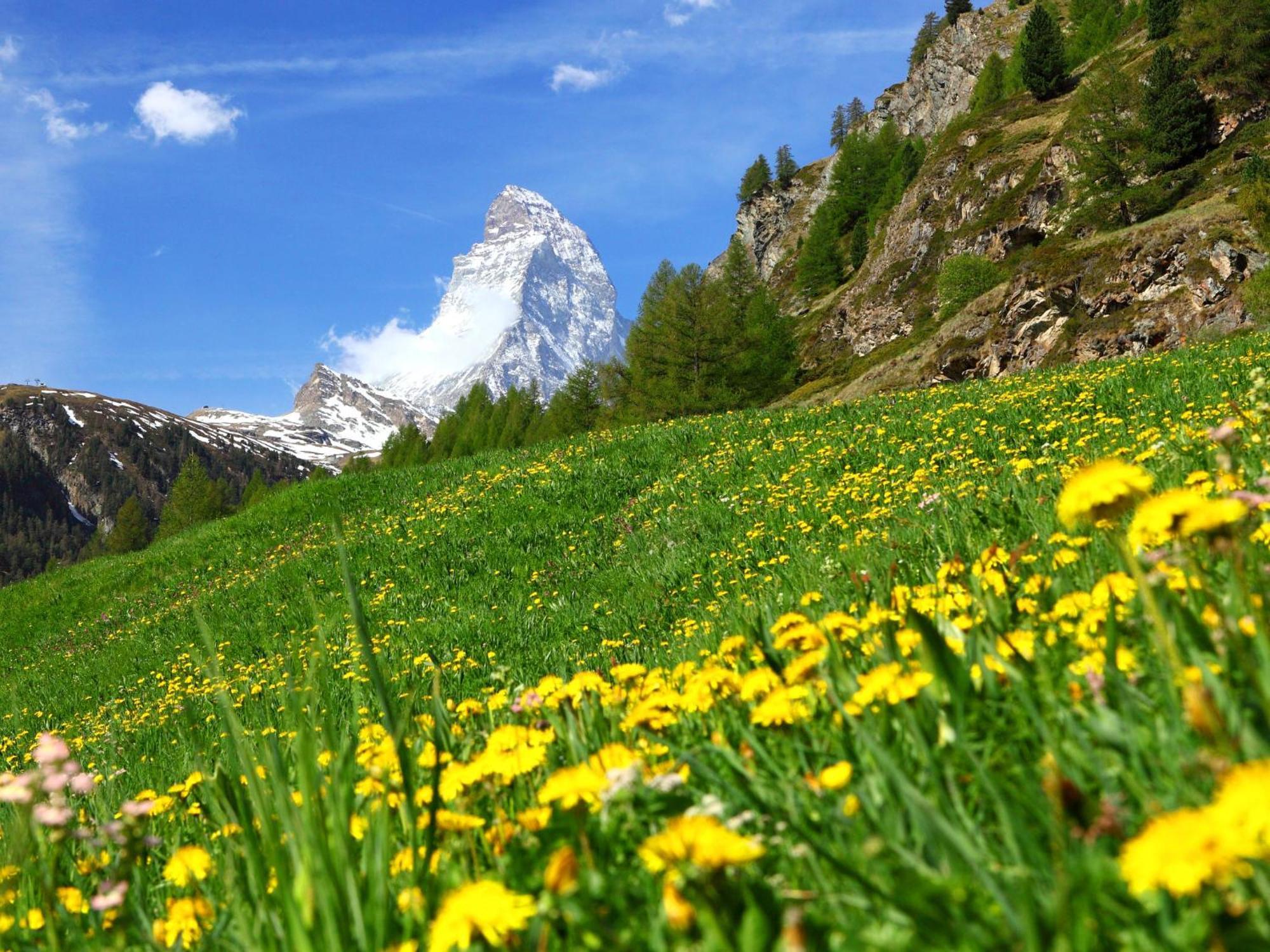 Apartment Haus Whymper Edward Suite By Interhome Zermatt Ngoại thất bức ảnh